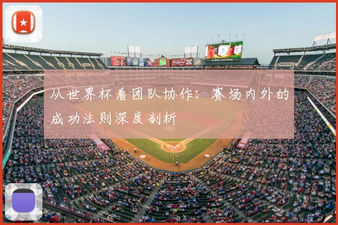 从世界杯看团队协作:赛场内外的成功法则深度剖析
