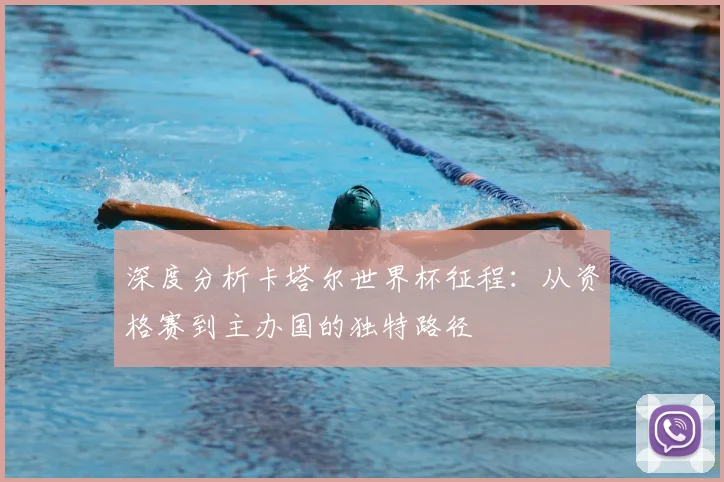 深度分析卡塔尔世界杯征程：从资格赛到主办国的独特路径