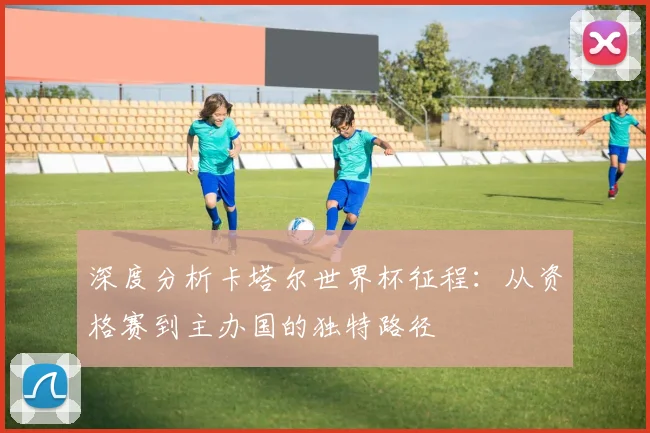 深度分析卡塔尔世界杯征程：从资格赛到主办国的独特路径