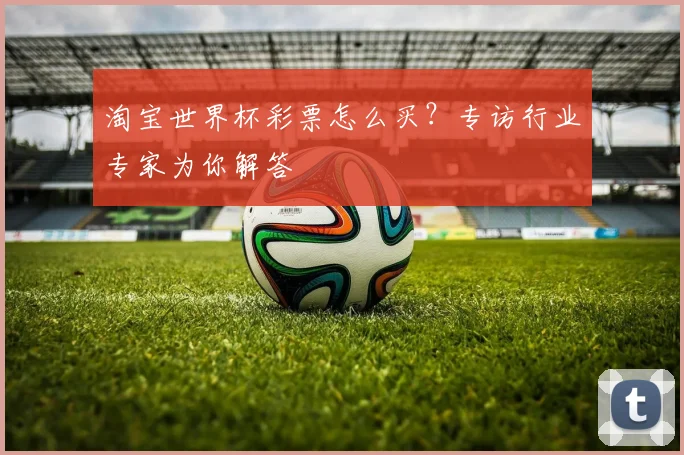 淘宝世界杯彩票怎么买?专访行业专家为你解答
