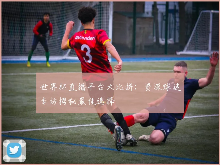 世界杯直播平台大比拼：资深球迷专访揭秘最佳选择