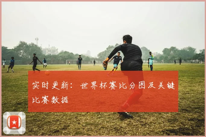 实时更新：世界杯赛比分图及关键比赛数据
