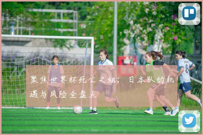 聚焦世界杯死亡之组:日本队的机遇与风险全盘点